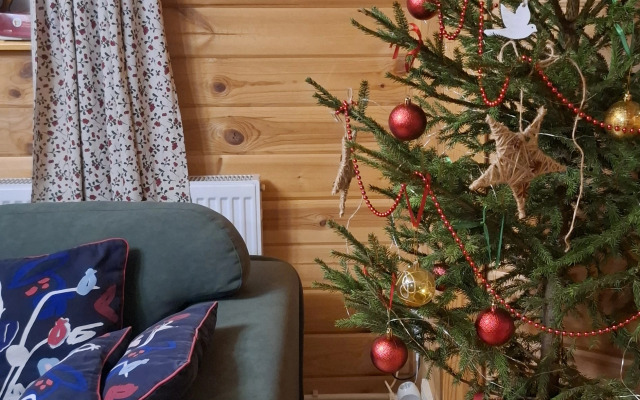 Частный Дом Васильевский Дворик