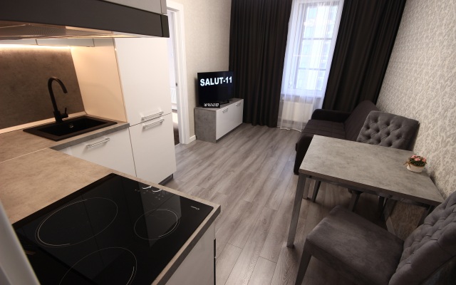 Salyut-11 Flat