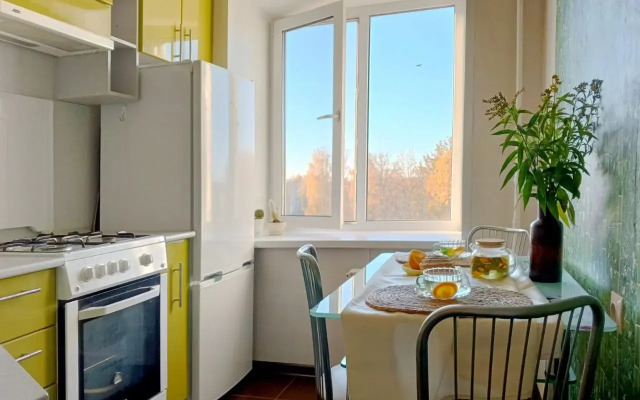 Apartamenty Chaykovskiy na K. Marksa 13 Flat