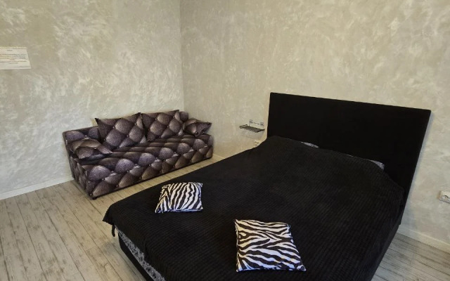 Komfortabelnaya Yevrostudiya v Tsentralnom Rayone Flat