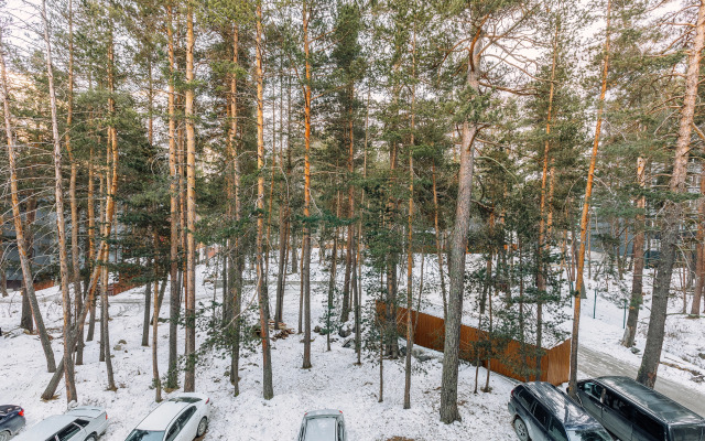 Апартаменты Комфорт с Видом на Парк в Сосновом Лесу от Квартирукинг