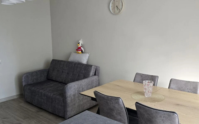 Dvukhyarusnaya Turgeneva 9A Flat