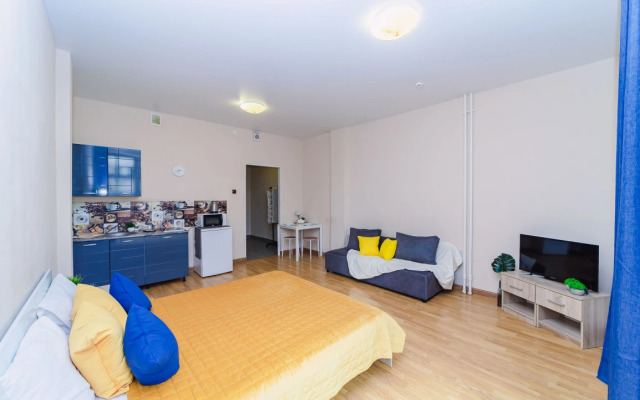 Apartamenty v tsentre Ekaterinburga na Belinskogo 30 (202)
