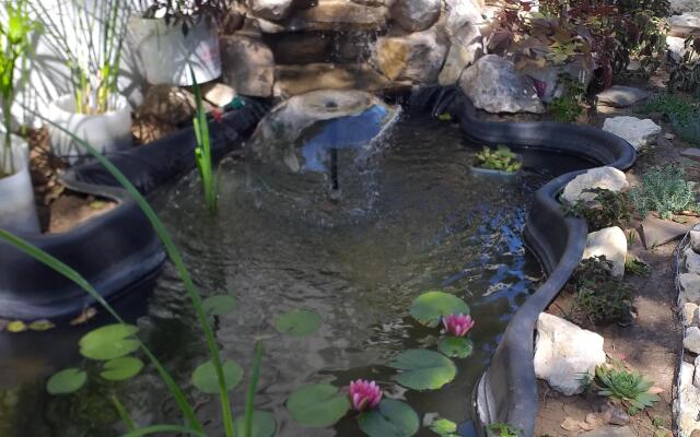 Aleksandrit Guest House