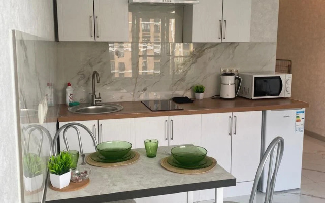 Svetlaya studiya u metro Solntsevo Flat