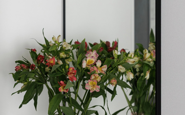 Квартира Студия ГРАЦИЯ в ЖК Прокшино