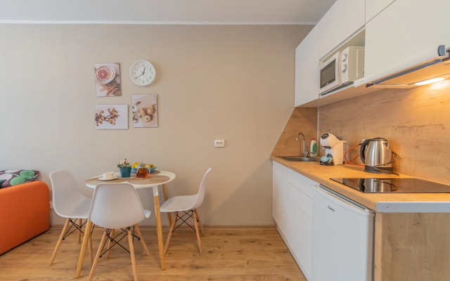 Apartment Standart SalutApart 8