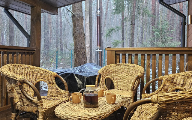 Частный дом большой