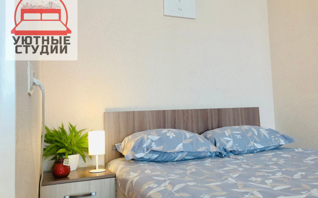 Уютная однокомнатная квартира на Луговой во Владивостоке