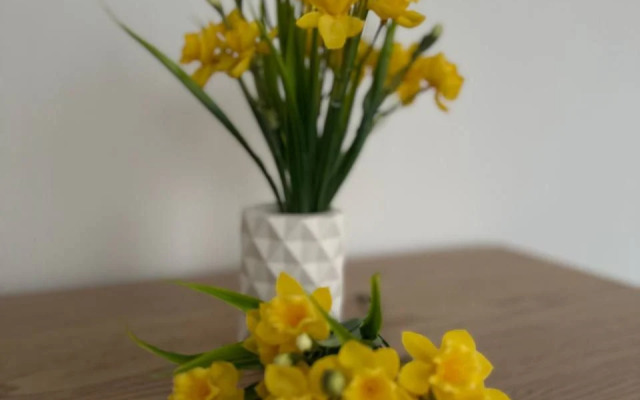 Квартира в коммунарке