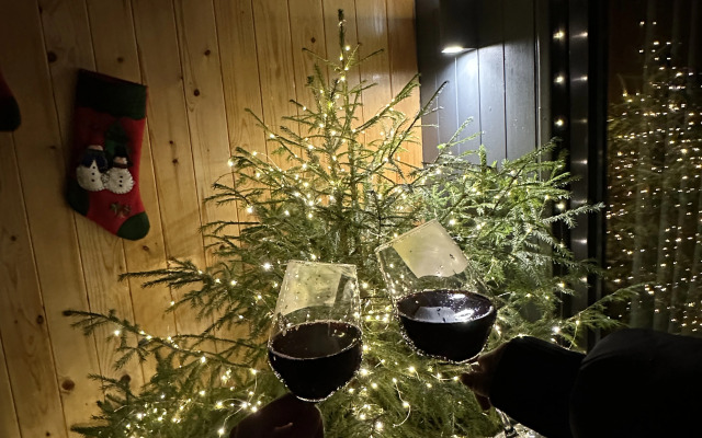 Частный дом SPA-дом