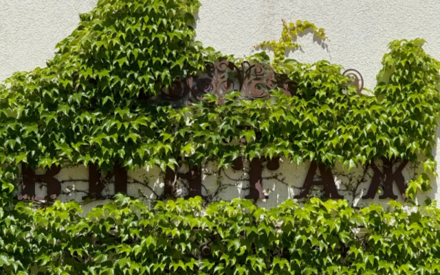 Vintazh Hotel