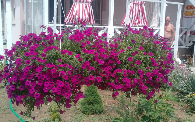 База Отдыха Лукоморье