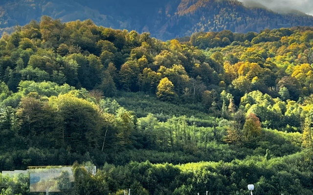 Bol'shoj Lyuks Panoramnyj Apartament