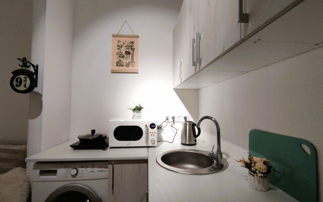 Studiya Garry Potter s divanom na rizhskoy Apartment