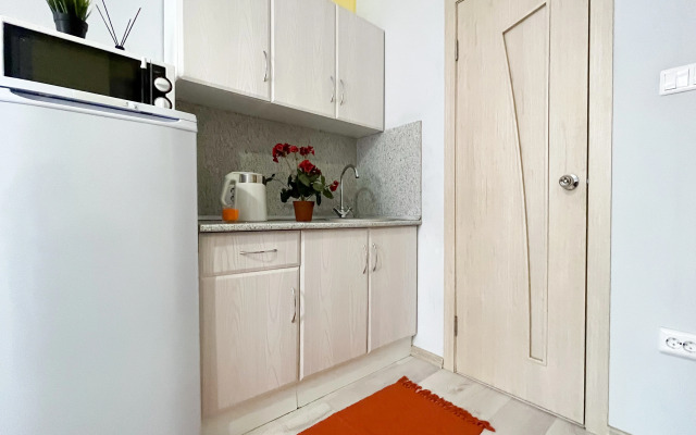 Апартаменты Суперская Студия на Городовикова 36 №2