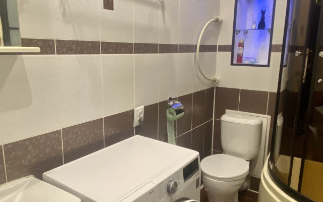 Квартира Pushkinapart