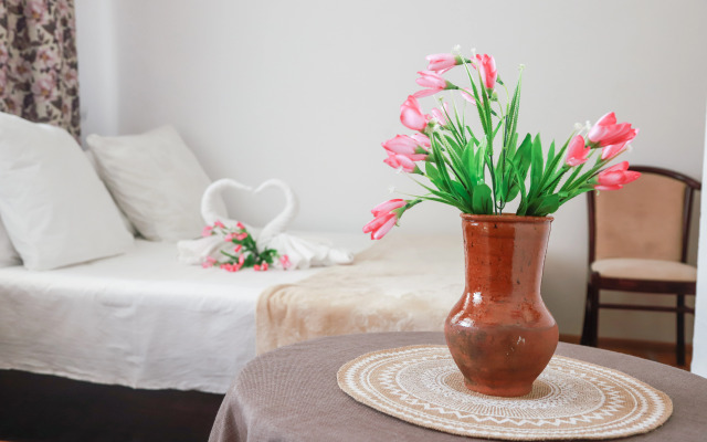 MAXROOMS у Плеса