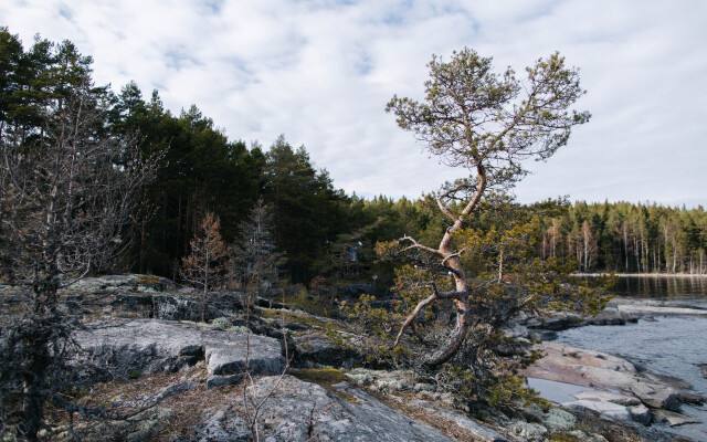 Глэмпинг Lago Ladoga