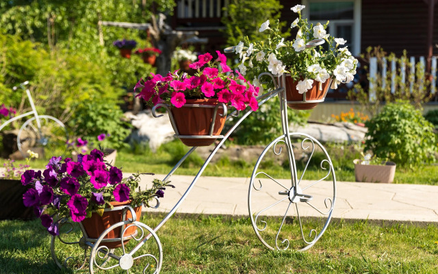 Отель Кумуткан