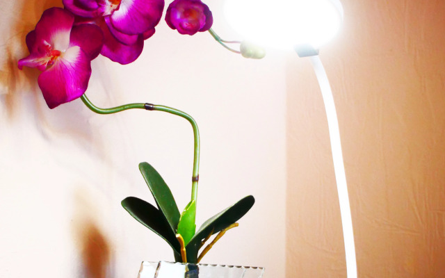 Na Ul Sevastopolskaya 26 Flat