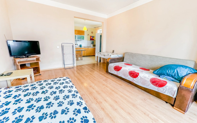 Uyutnaya Kvartira Vozle Sheremetyevo Apartments