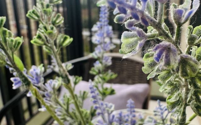 Апартаменты 5 минут езды до центра города. Дом бизн.класса