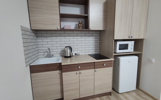 Na Frunze/moskovskiy Prospekt (studiya) Flat