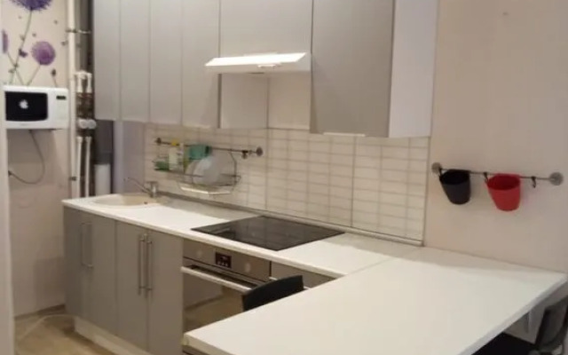 Квартира на Большой Санкт-Петербургской 124