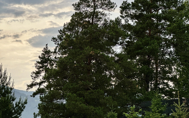 База отдыха Апарт-бутик Альпака