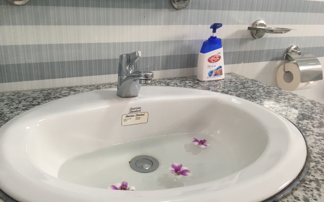 Camellia Resort & Spa Hotel