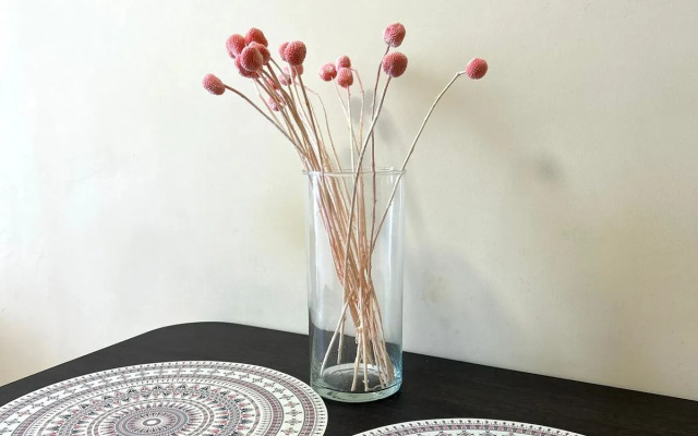 Studiya Vozle Bobrovogo Loga Flat