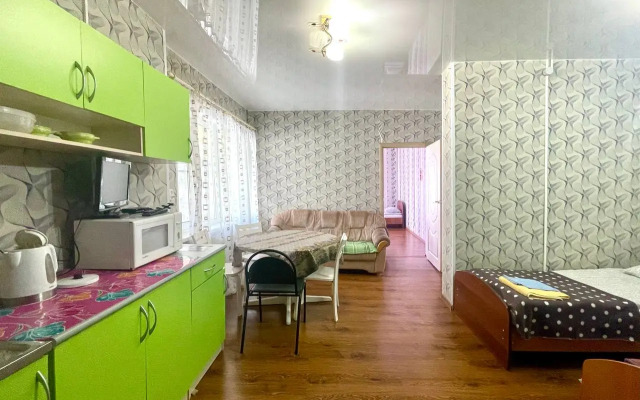 S kukhney gostinoy i otdelnoy spalney Apartments