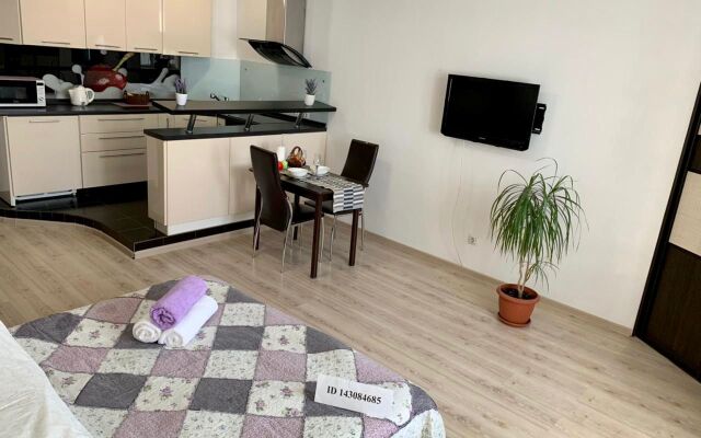 Апартаменты в центе Тюмени, Гелерея Вояж, Гор Сад