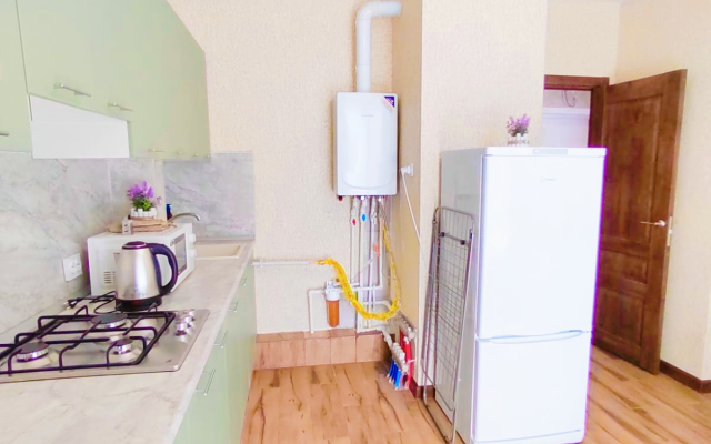 Квартира Большая однокомнатная Ботаника