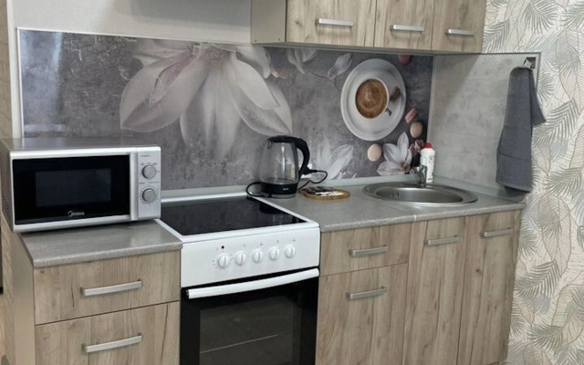 Na Ulitse Novosyolov 103k1 Flat