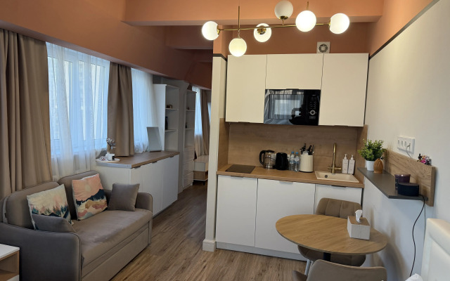 Апартаменты Новые Лофт на Соколе