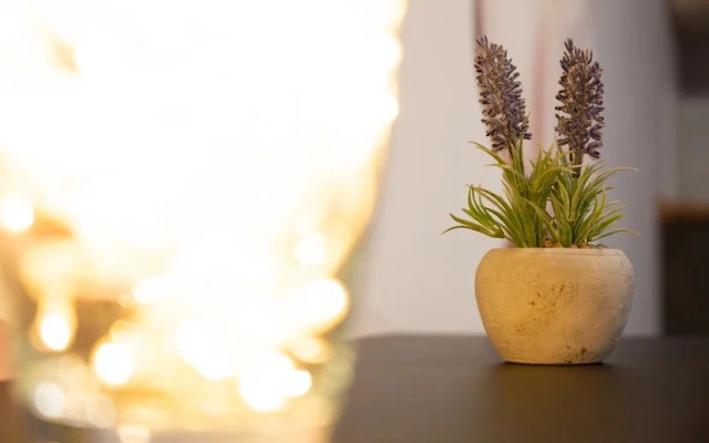 Apartment Atmosphere-Romantic 2