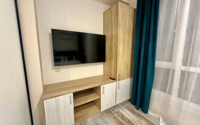 Na Sanatornoy 49/19a Flat