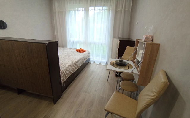 Uyutnaya Studiya V Tsente Ryadom S Vokzalom Apartments