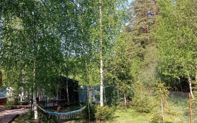 Hide Forest Private House