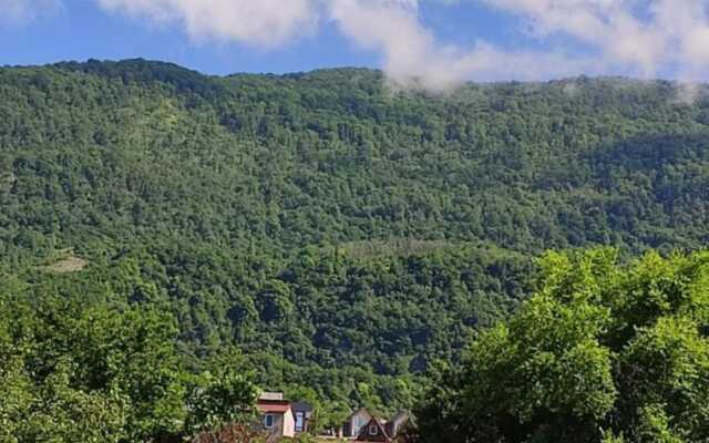 Barkhatny Sezon Guest House