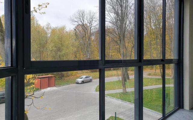 Apart39 U Korolevskih Vorot Apartments