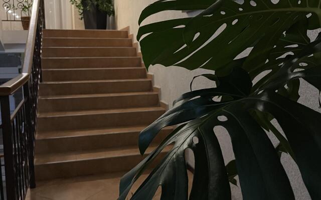 Platan Guest House