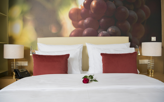 Douro Castelo Signature Butik-Hotel