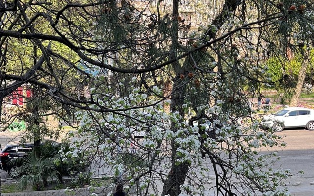 Апартаменты на улице Молокова 5