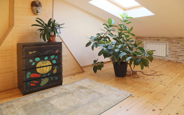 Уникальный Пентхаус Недалеко от Дворцовой Площади Апартаменты