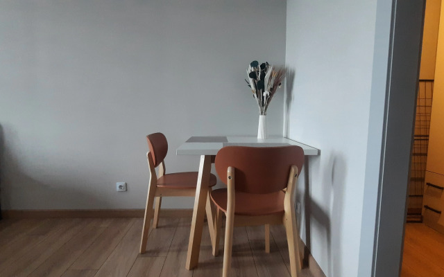 Квартира студия 30 кв.м.