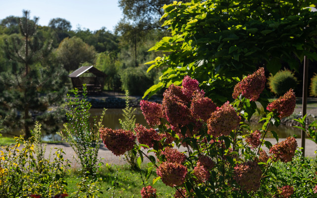 Отель Парк отель Павлова Поляна