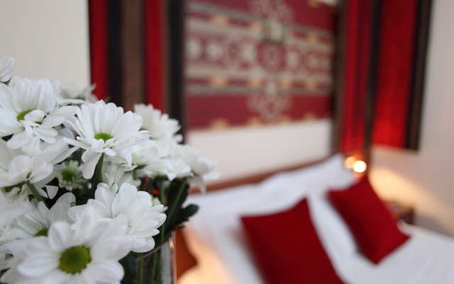 Villa Andrea Hotel